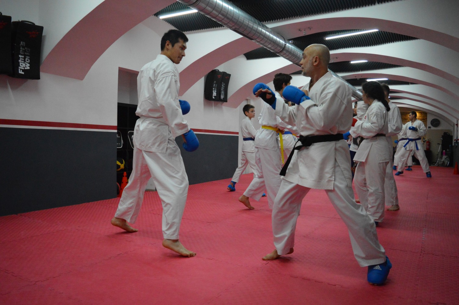 Karate für Erwachsene in Wien