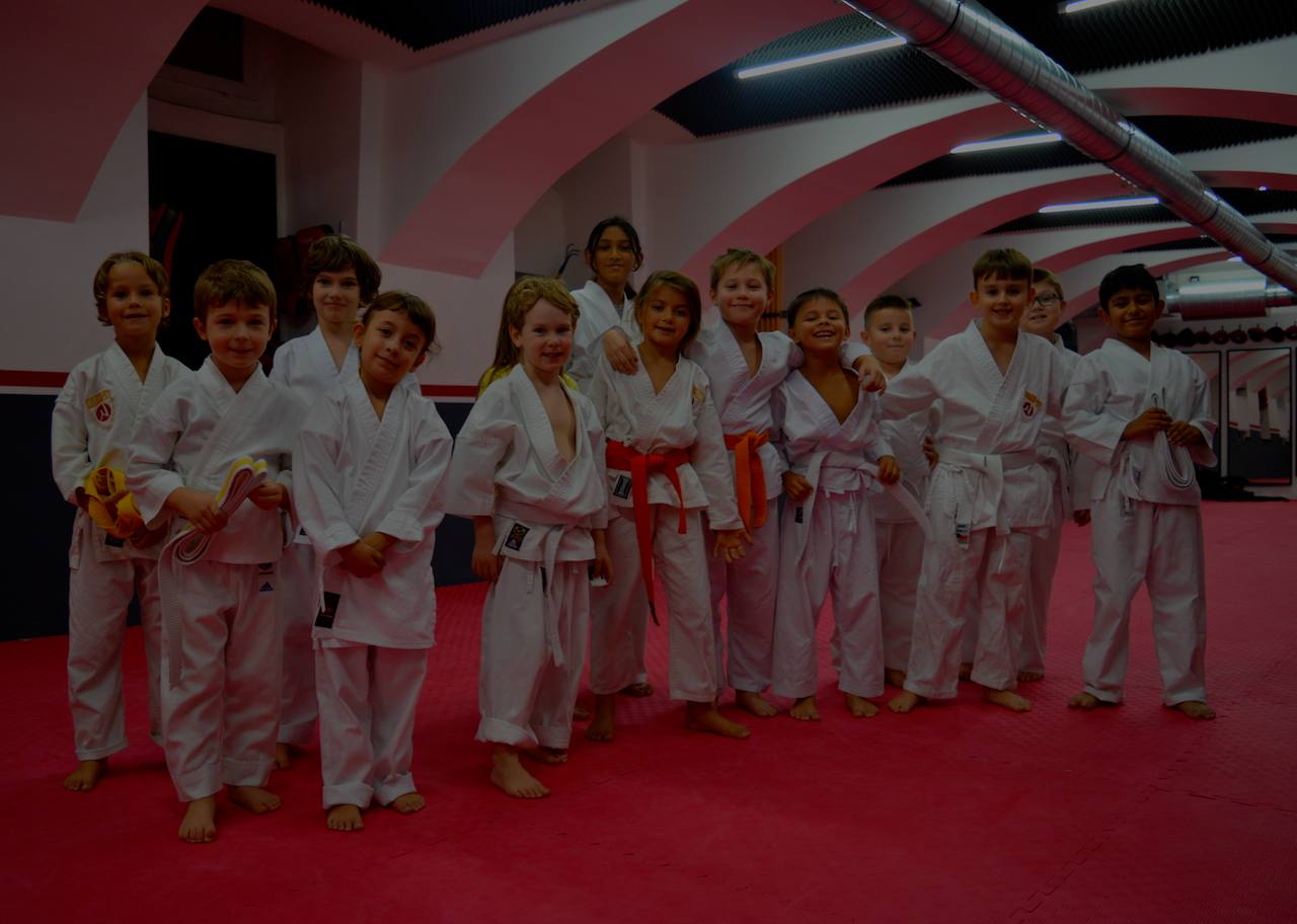 Karate für Kinder in Wien